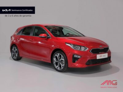 KIA Ceed 5p 1.0 T-GDi 100CV Tech vehículos de ocasión